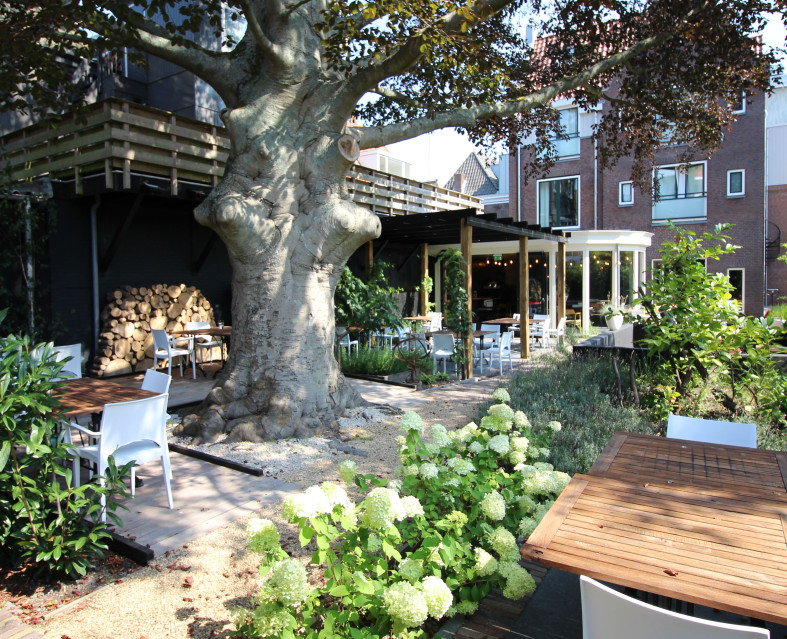 De Oude Boom in Stadstuin De Oude Boom in Hotel Marktstad in Schagen